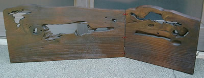 �˕��F��@�V�R�@�Ė��n