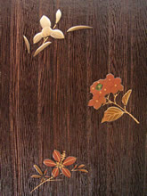 �l�G�̉ԁi���G�̊g��j