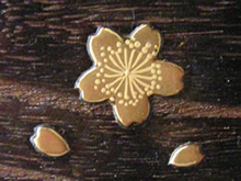 ���@�i���G�̊g��j